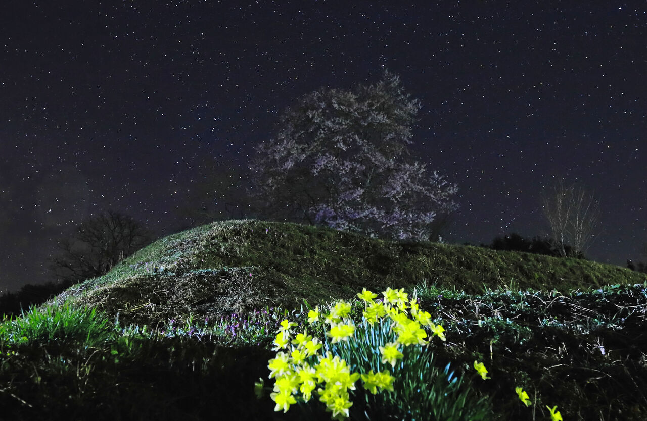 春の天の川 フォトギャラリー 野塾写真館