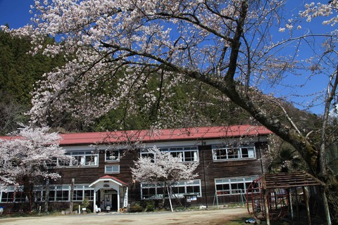 kizawa2019-2