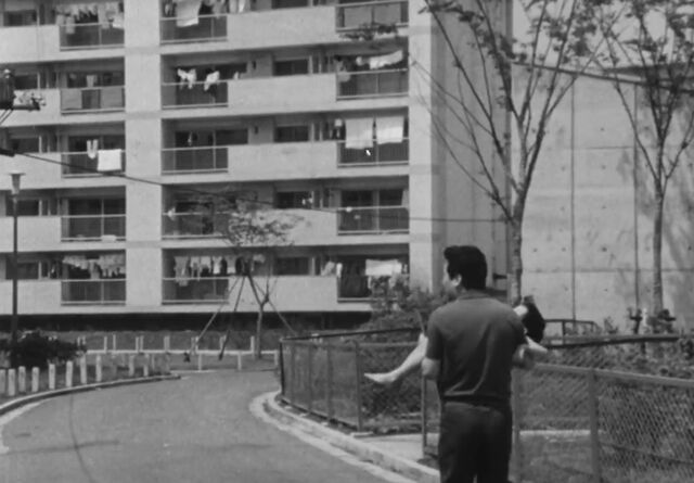 1966泣いてたまるか 「二人になりたいッ」26