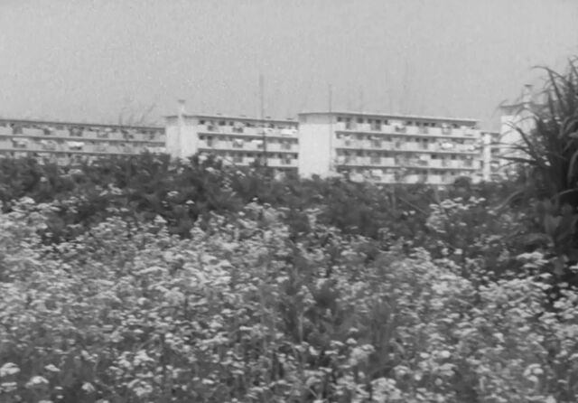 1966泣いてたまるか 「二人になりたいッ」23