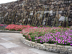 IMGP2243