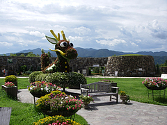 IMGP2239