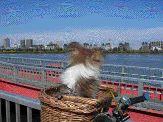 荒川河川敷 楽しいな Yu S New House 荒川河川敷 楽しいな Yu S New House