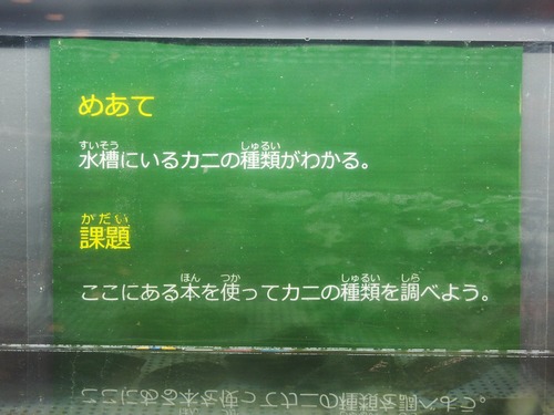 P7224183