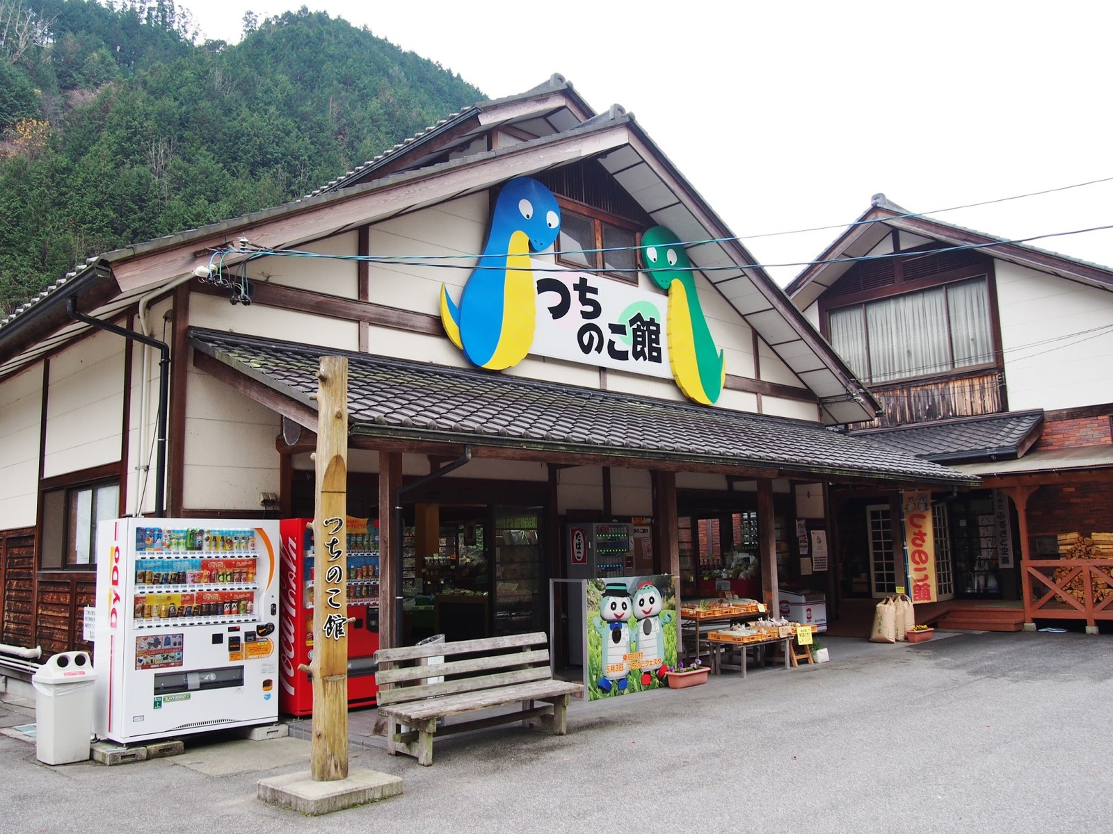 岐阜】 つちのこを生け獲りしよう!! つちのこ館 : BQ ～B-spot
