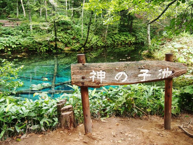 北海道 神秘 神の子がいる池 神の子池 ｂｑ B Spot Explorer Powered By ライブドアブログ