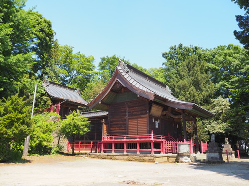 P5239325