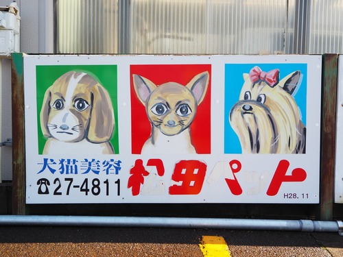 PB037137