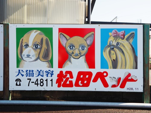 PB037133