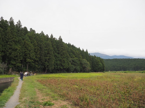 PA099027