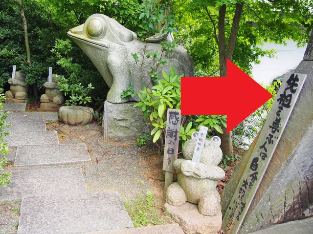 福岡】 カエルづくしのフォトジェニック寺 如意輪寺 : BQ ～B
