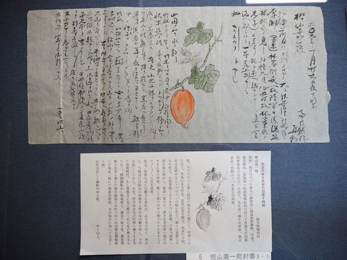 P3125537
