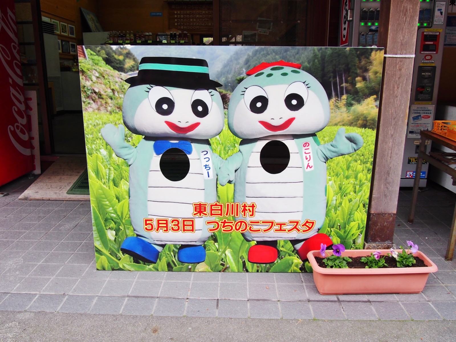 岐阜 つちのこを生け獲りしよう つちのこ館 bq B Spot Explorer Powered By ライブドアブログ