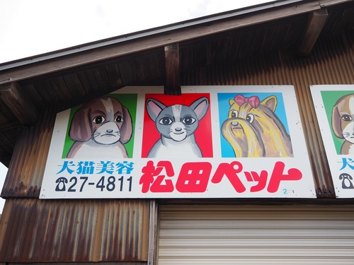 PB037033
