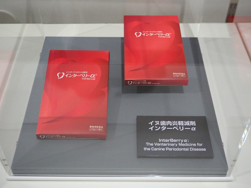P6208813