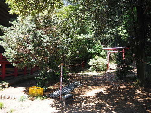 P5239333