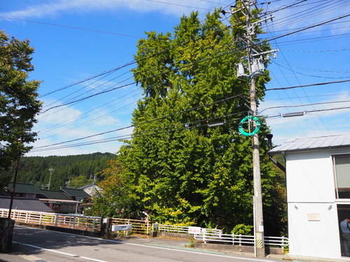 PA195638