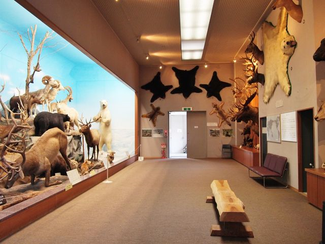 滋賀】 仕留めた動物を剥製にしました！ 滋賀サファリ博物館 : BQ