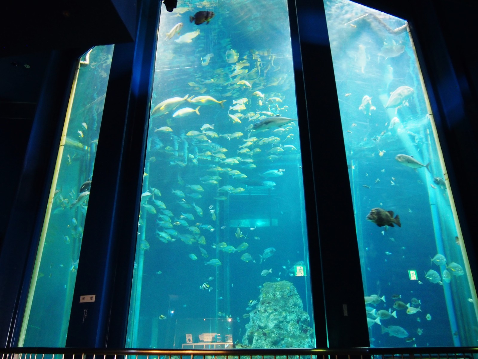 高知 レトロかっこいい海中展望台 足摺海底館 bq B Spot Explorer Powered By ライブドアブログ 高知 レトロかっこいい海中展望台 足摺海底館 bq B Spot Explorer Powered By ライブドアブログ