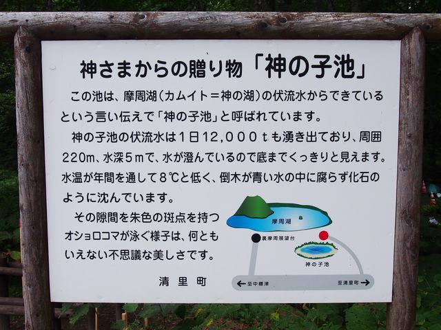 北海道 神秘 神の子がいる池 神の子池 ｂｑ B Spot Explorer Powered By ライブドアブログ