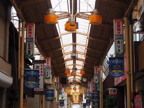 P7246659