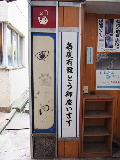 P8261168