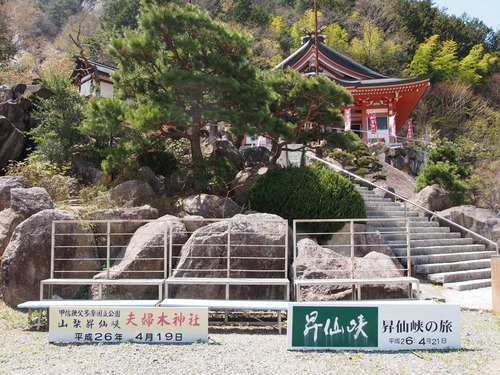 P4234380