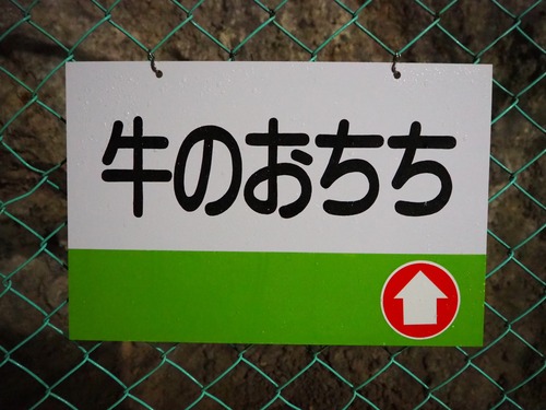 P9243206