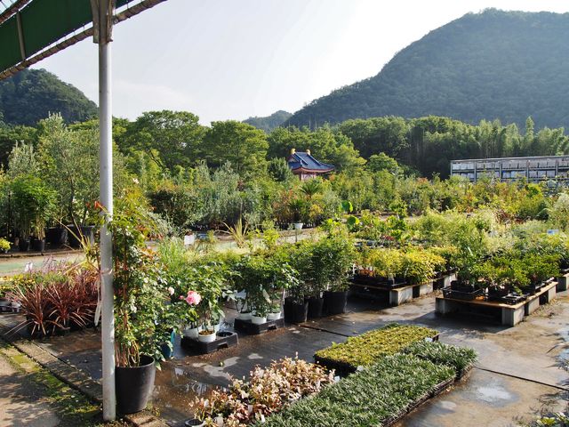 岐阜 花木センターの奥でフェスできます 鳩吹稲荷 ｂｑ B Spot Explorer Powered By ライブドアブログ