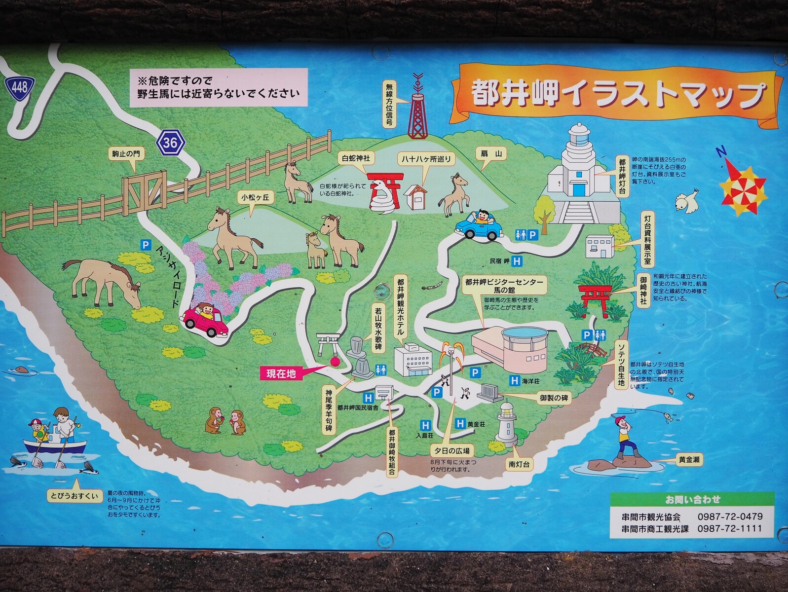宮崎 野生のウマを探しに行こう 都井岬 bq B Spot Explorer Powered By ライブドアブログ 宮崎 野生のウマを探しに行こう 都井岬 bq B Spot Explorer Powered By ライブドアブログ