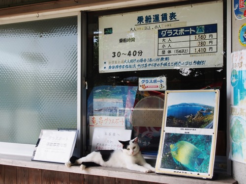 P7234933