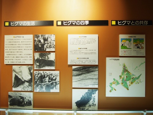 P6218387