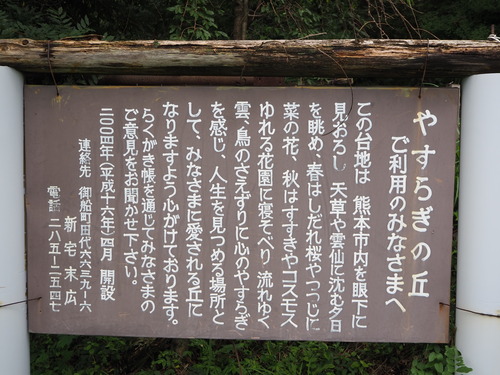 P7230295