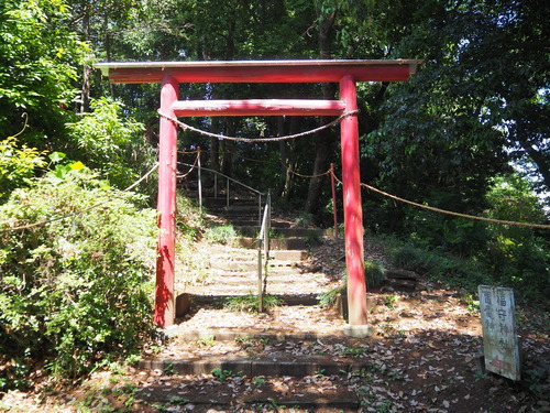 P5239335
