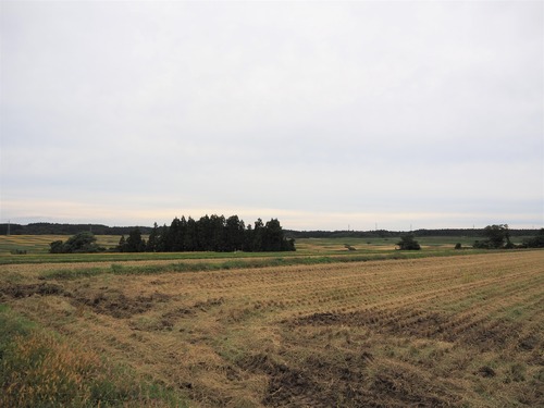 PA099152
