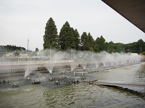 P6187713