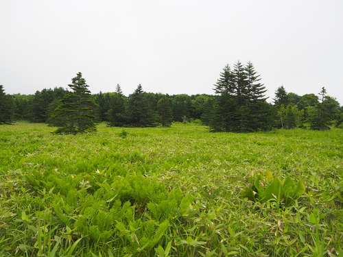 P7122061