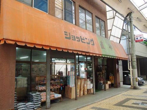 P7257909