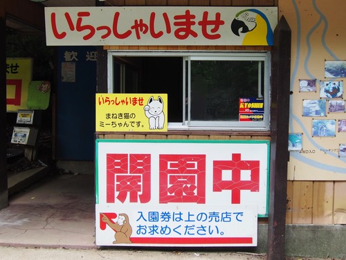 P5255550