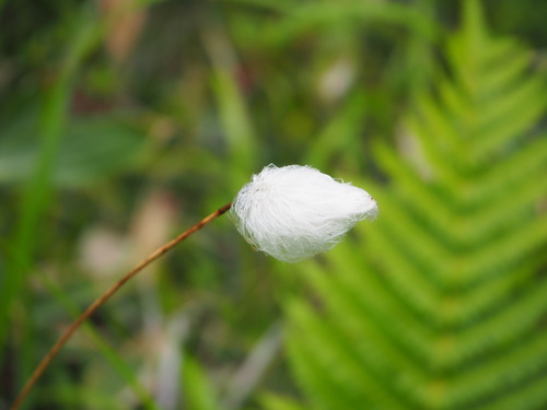 P7122045