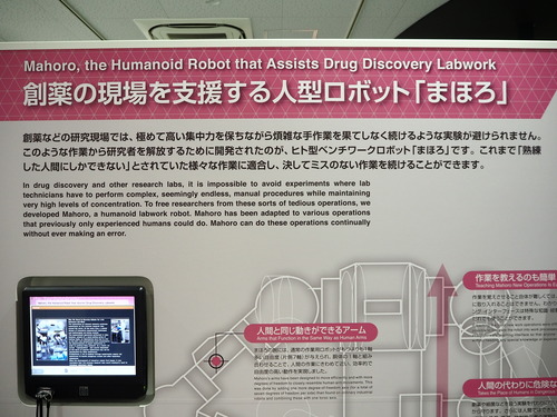P6208824