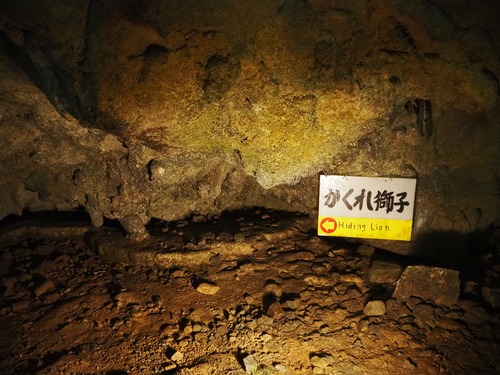 P9243029
