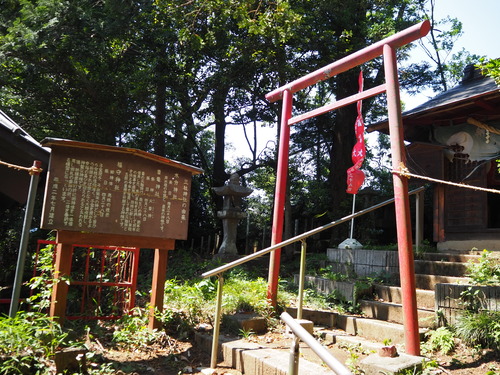 P5239340