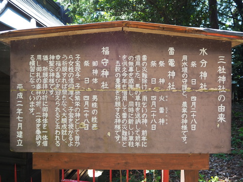 P5239344