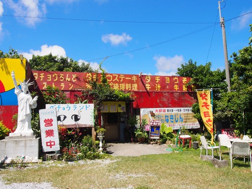 P6073055