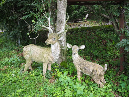 P7230297