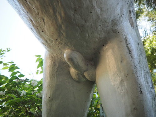 P5287496