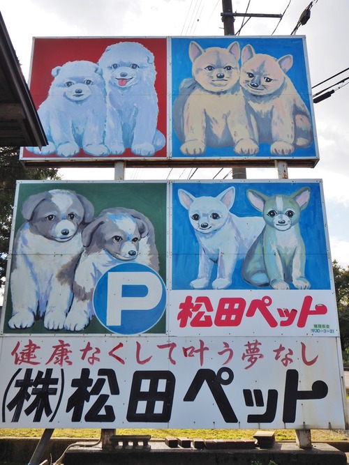 PB037047