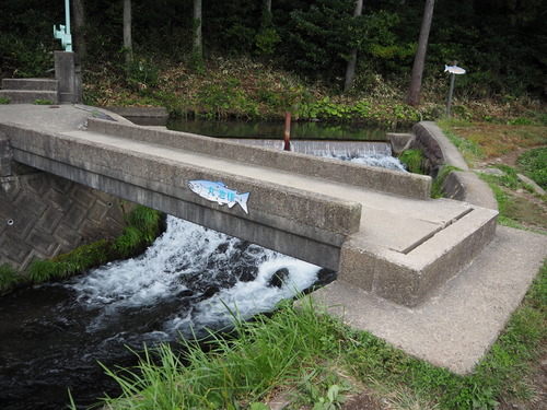 PA099030