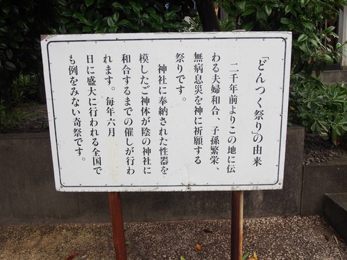 P6043527